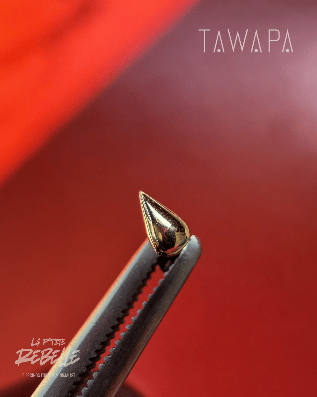 Tawapa gold piercing end Dew Drop