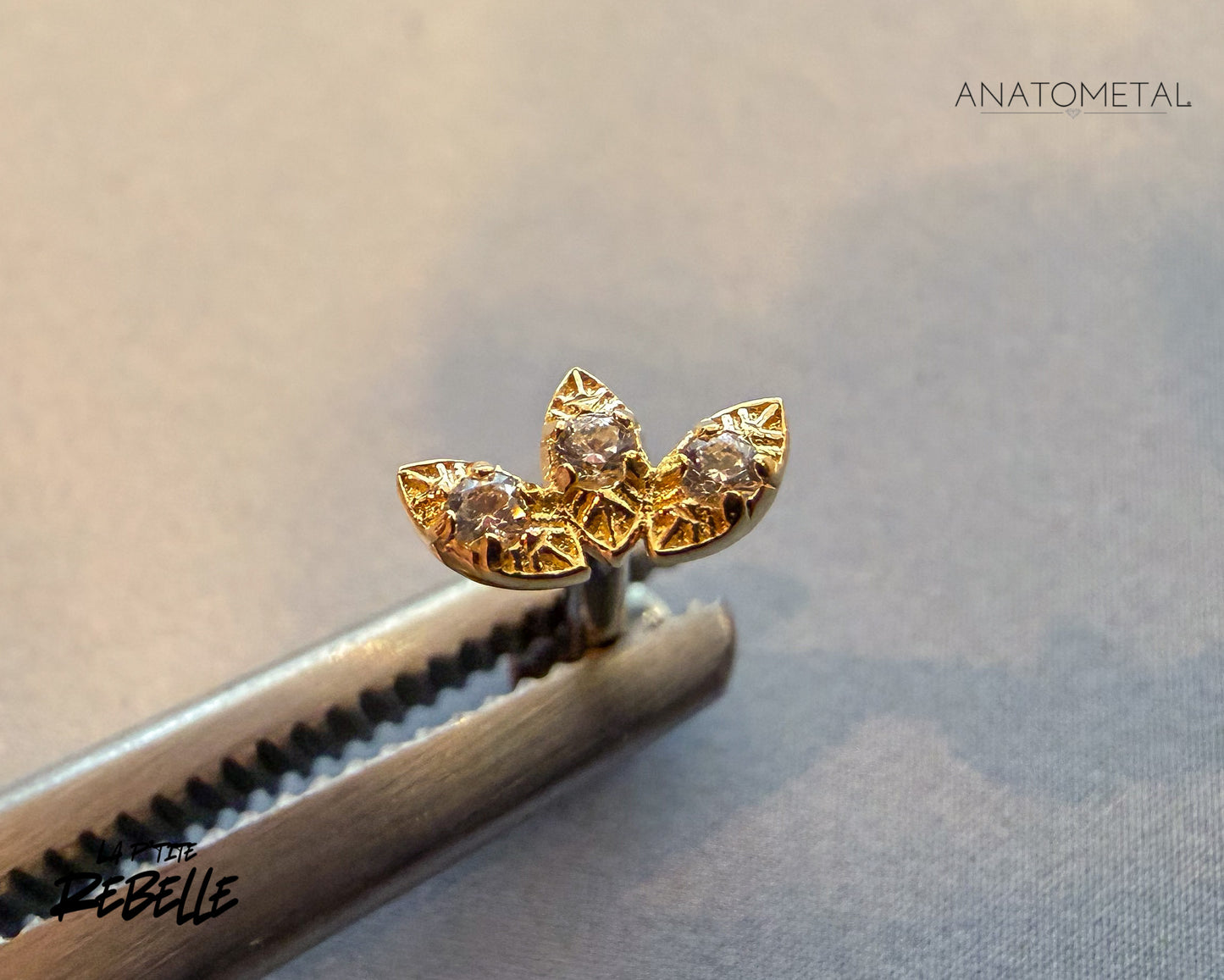 Anatometal Threadless Gold Noble Fan