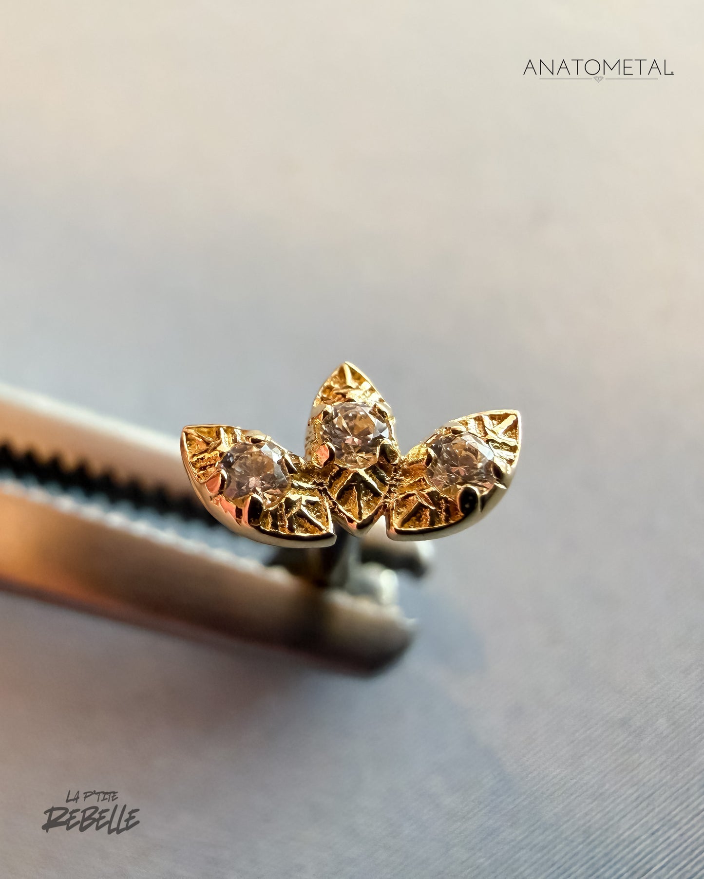 Anatometal Threadless Gold Noble Fan