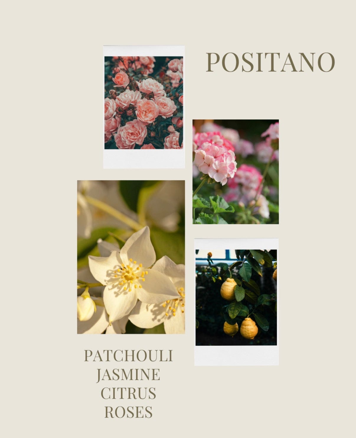 Giulia Collection Positano - Scented Candle