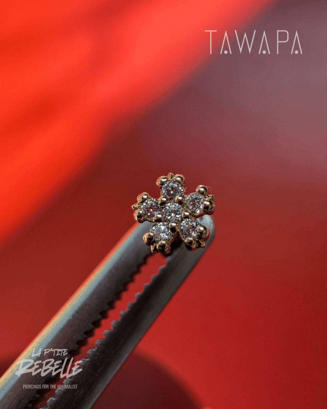 Tawapa gold piercing end Pixie - White CZ