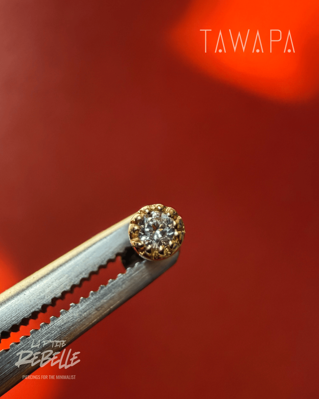 Tawapa gold piercing end Scalloped Pin - White CZ