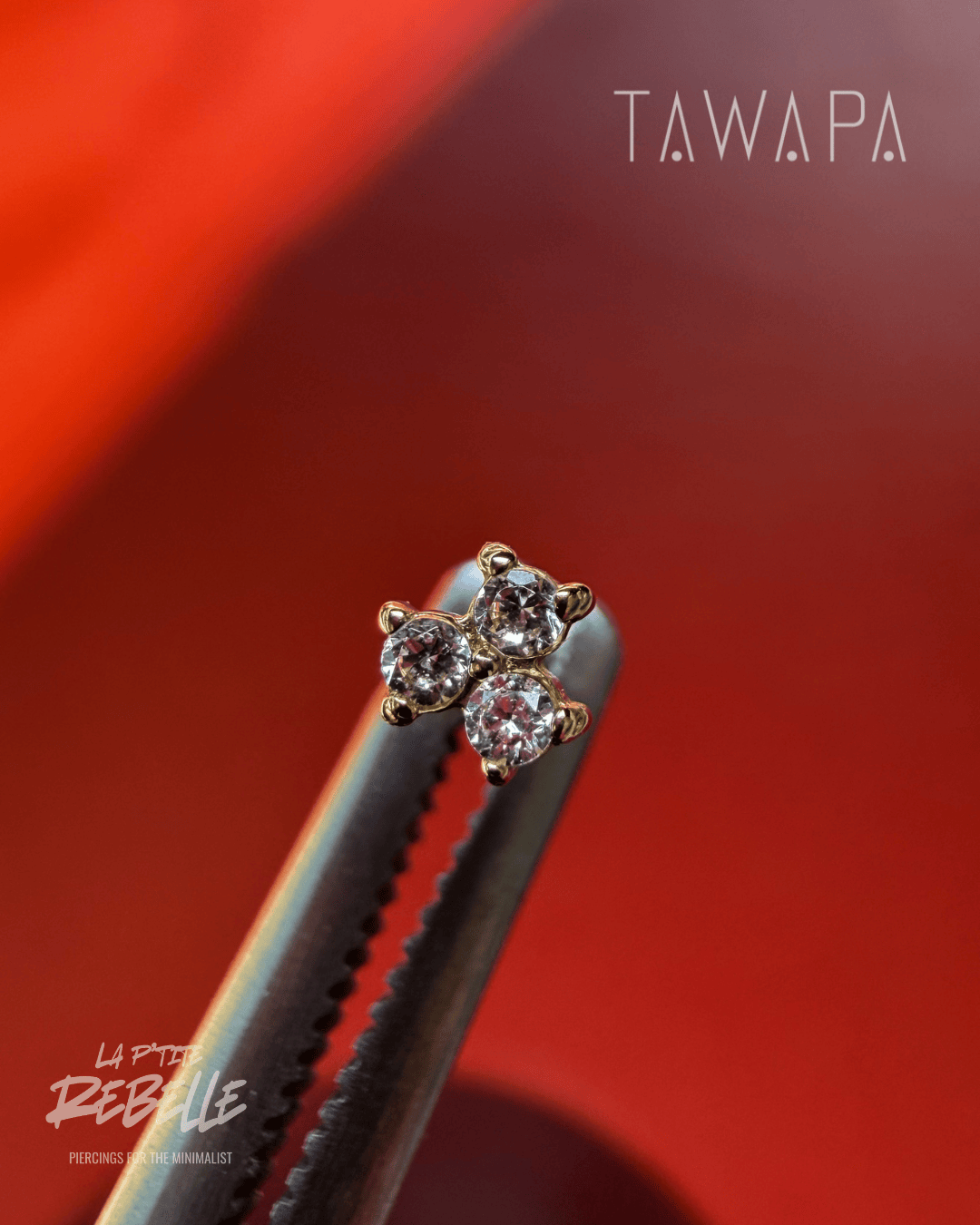 Tawapa gold piercing end Vida - White CZ