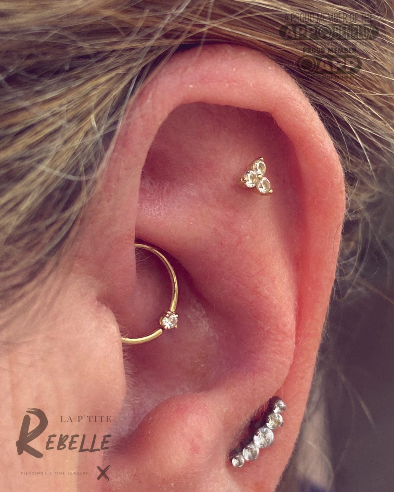 Norvoch Gold Ring Classic Prong Seamring