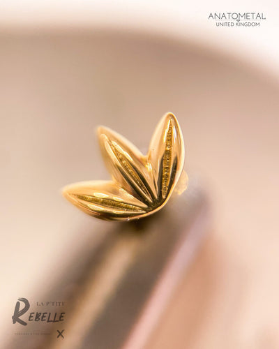Anatometal
