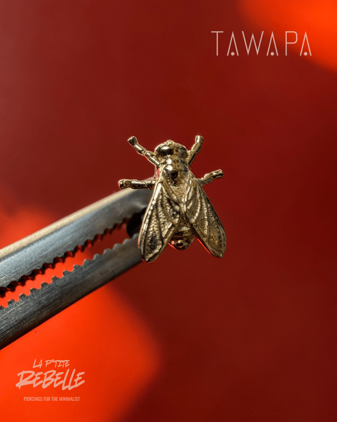 Tawapa gold piercing end Fly