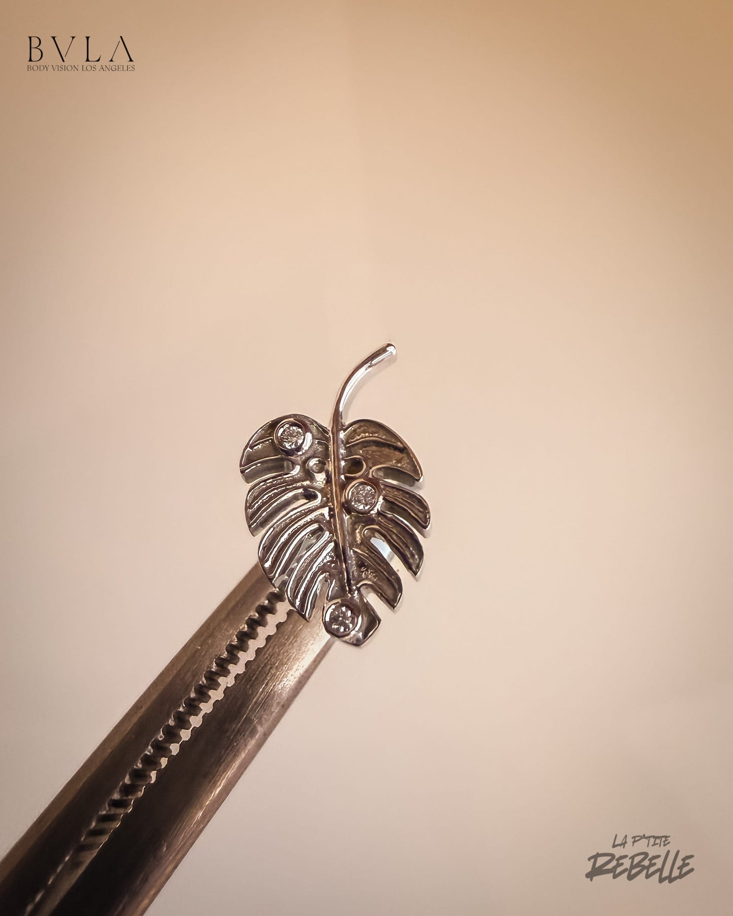 BVLA Monstera Leaf - Diamond