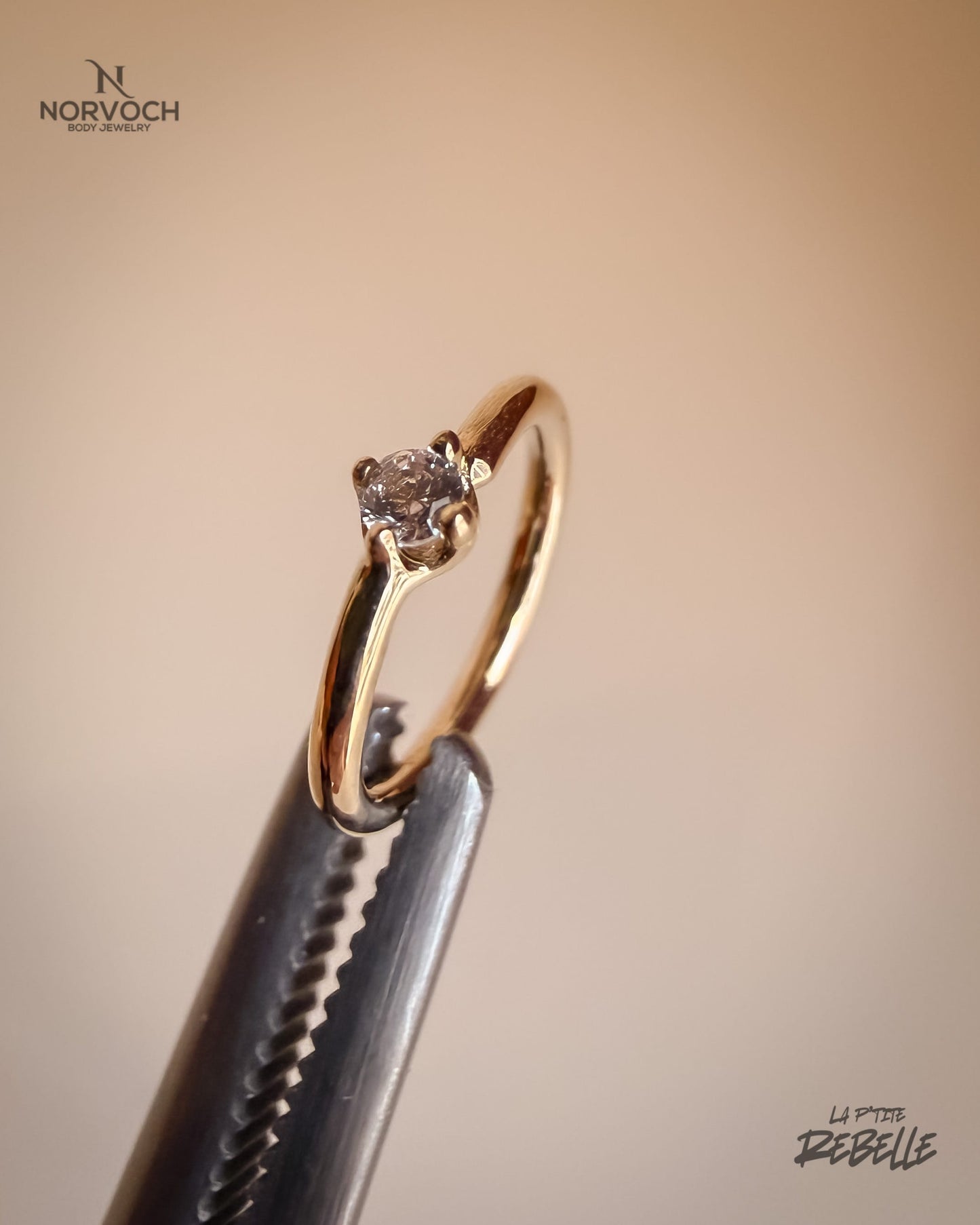 Norvoch Gold Ring Classic Prong Seamring