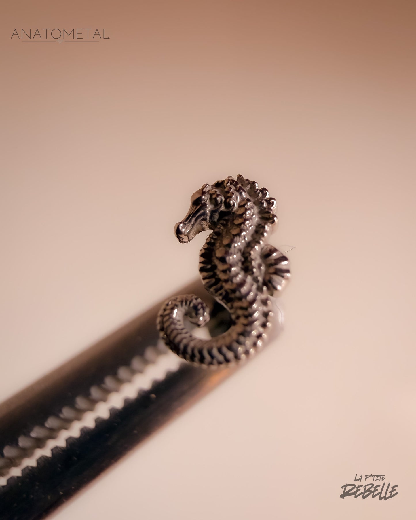 Anatometal Threadless Gold Seahorse