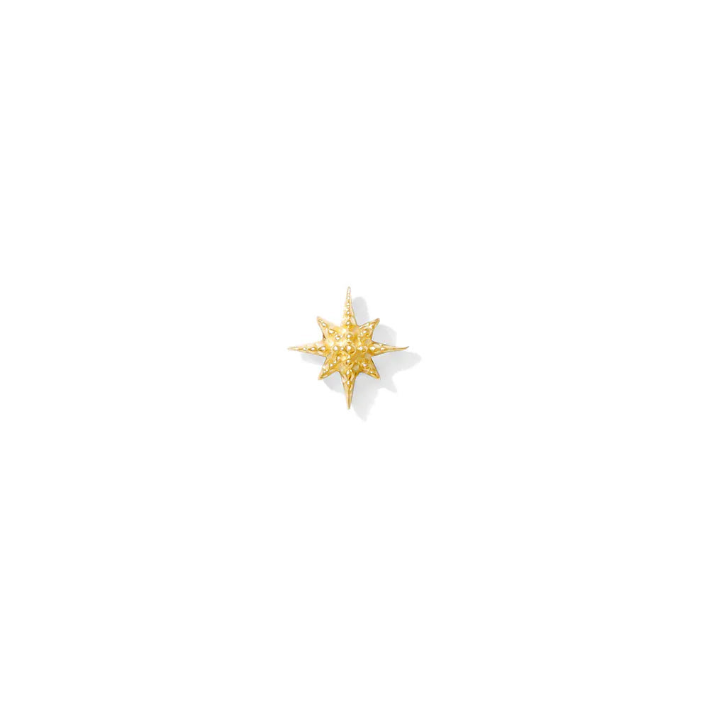 Tawapa gold piercing end Twinkle