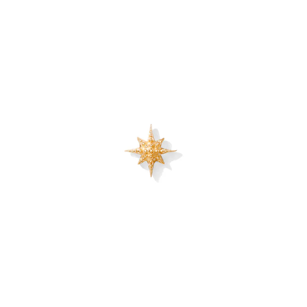 Tawapa gold piercing end Twinkle
