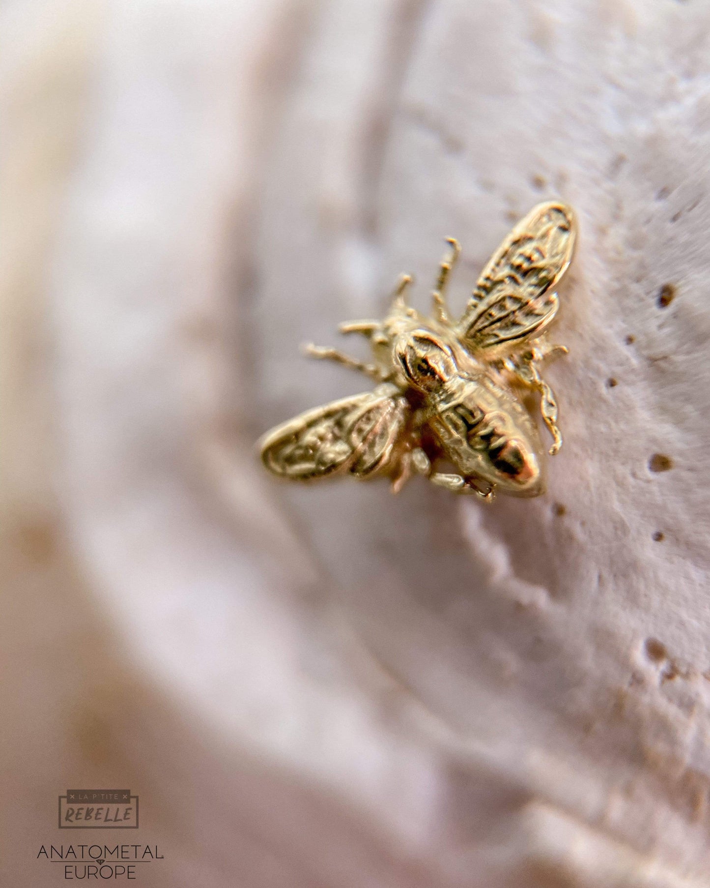 Anatometal Threadless Gold Bee