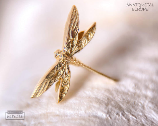 Load image into Gallery viewer, Anatometal Threadless Gold Dragonfly
