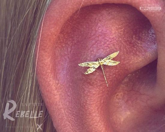 Load image into Gallery viewer, Anatometal Threadless Gold Dragonfly
