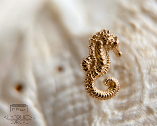 Anatometal Threadless Gold Seahorse