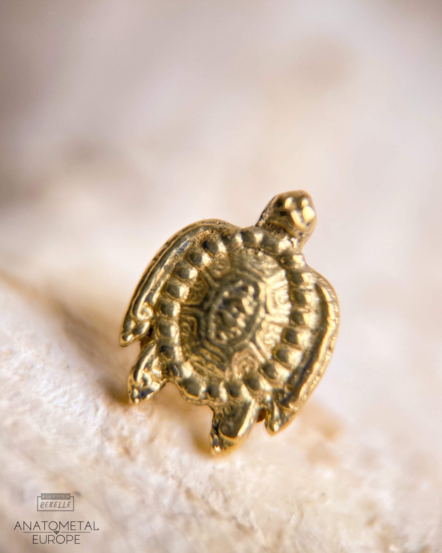 Anatometal Threadless Gold Turtle