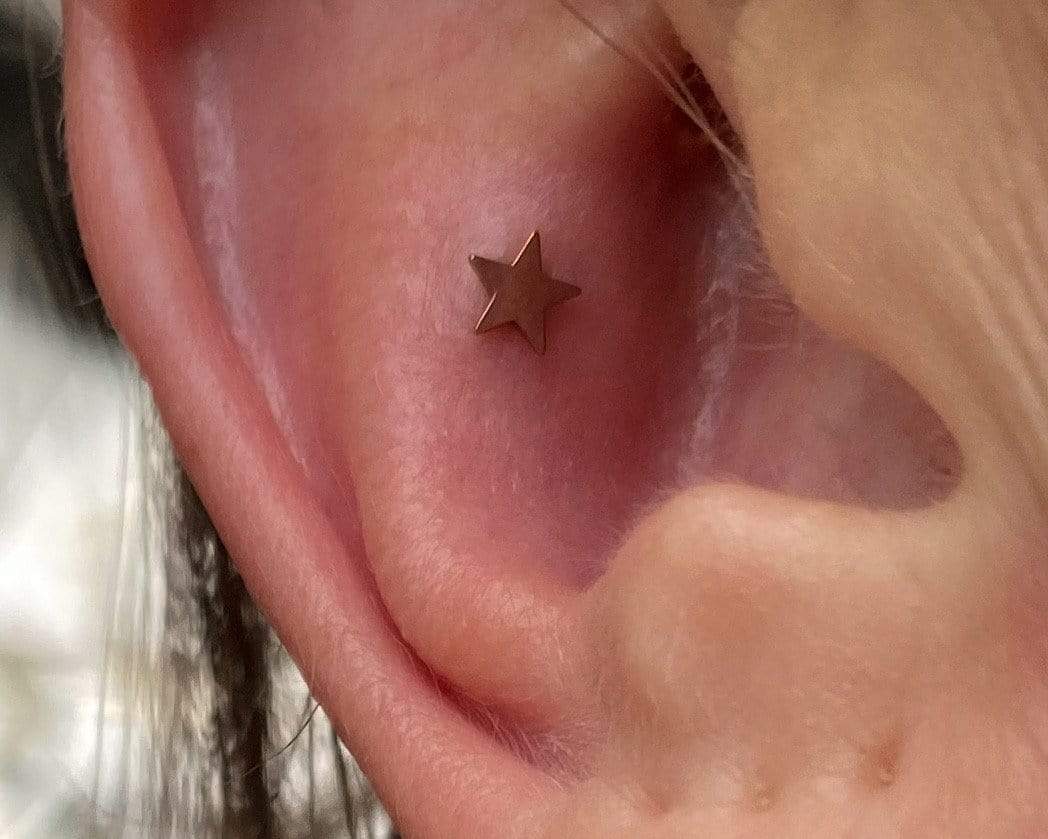 NeoMetal Threadless Titanium Star end