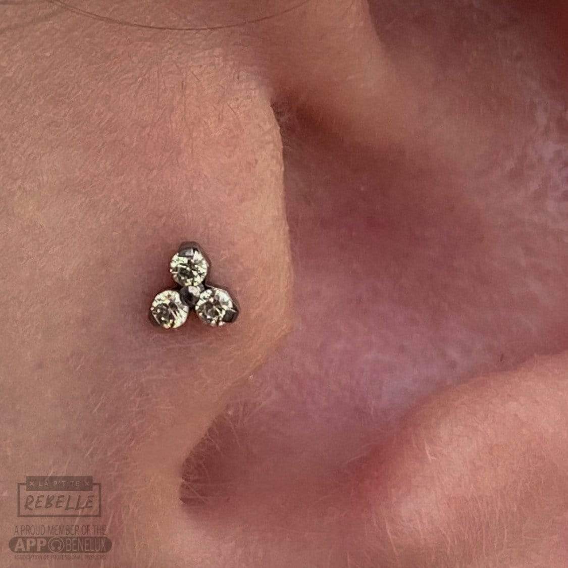 NeoMetal Threadless Titanium Trinity - Champagne