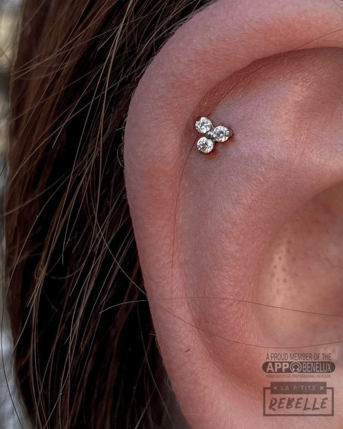 NeoMetal Threadless Titanium Trinity - Clear CZ