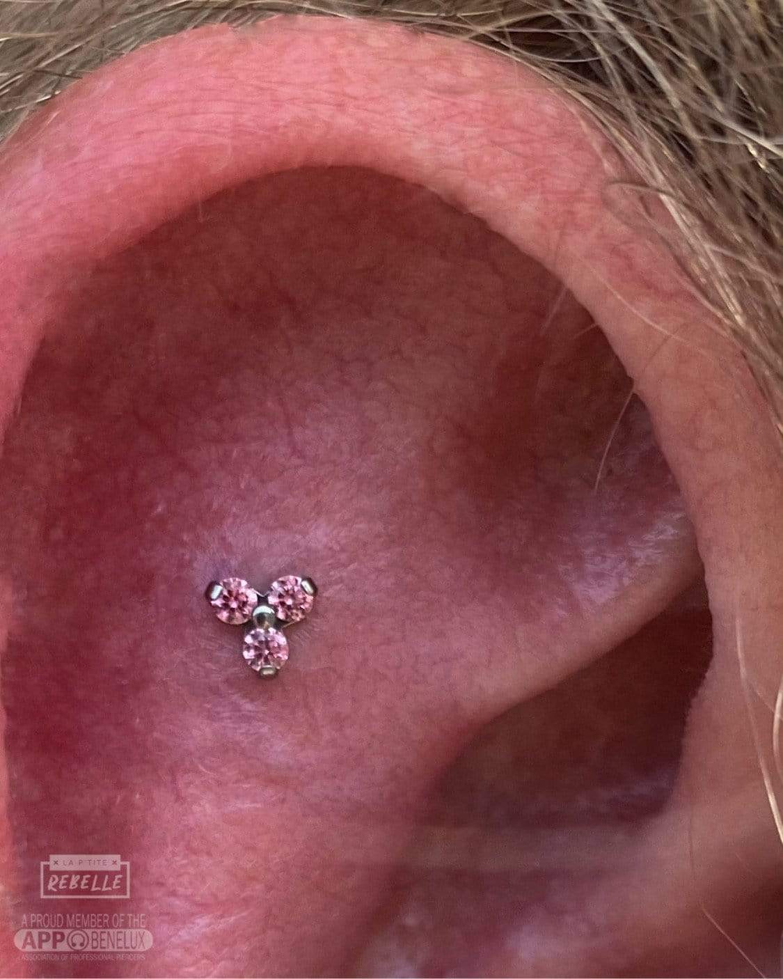 NeoMetal Threadless Titanium Trinity - Pink